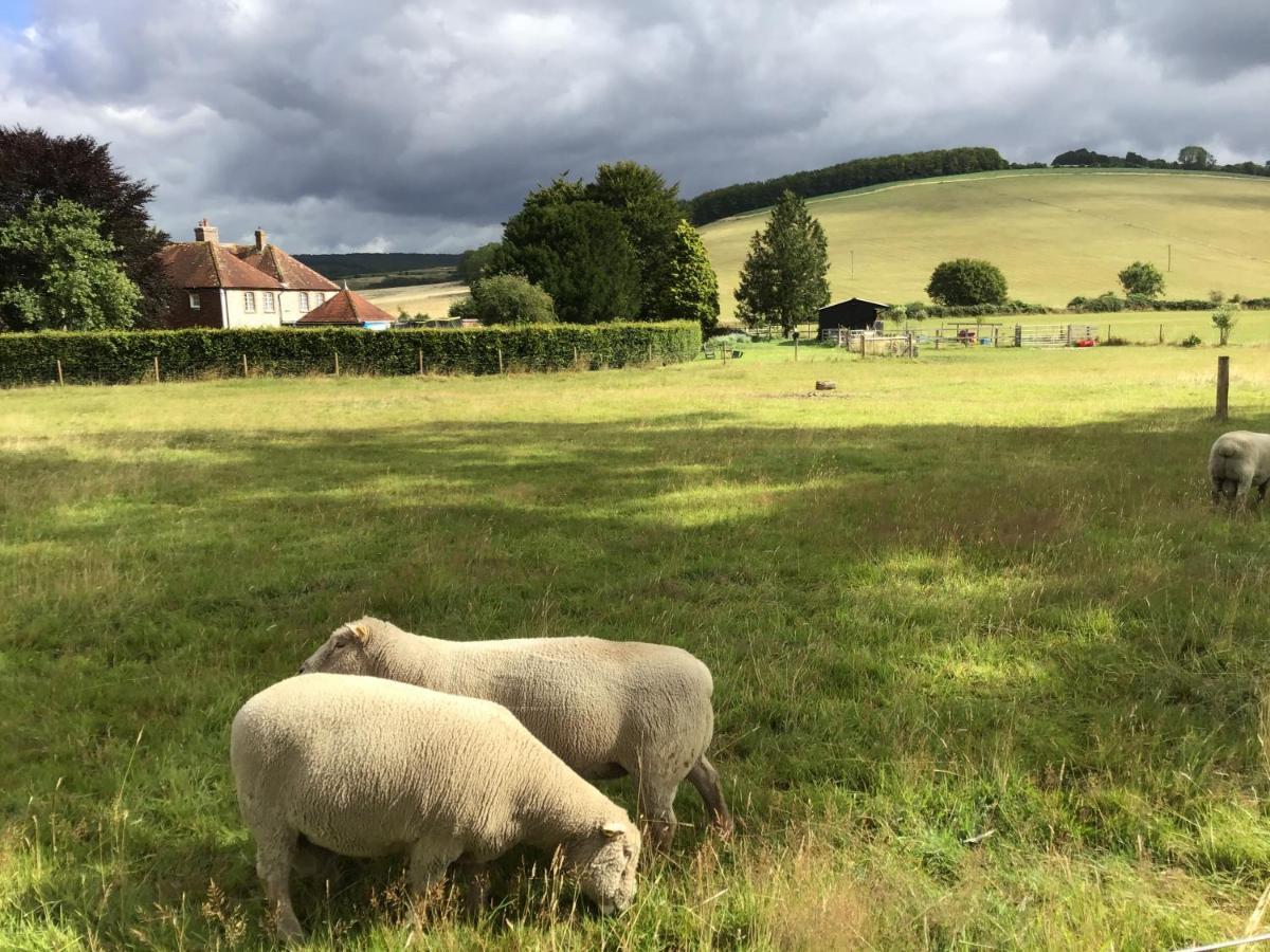 Bed and Breakfast Charlton End - Goodwood Events Чічестер Екстер'єр фото